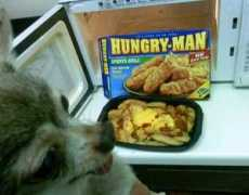 Hungryman