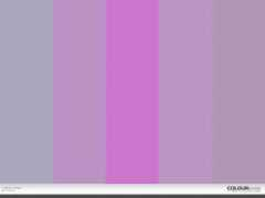colourlovers.com Hydrolic