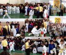 kwon-moldova.narod.ru Ianovici