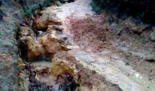 g1.globo.com Ibatiba