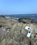 Ibeach