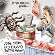 yeniasya.com.tr Ibrahin