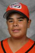 littleleague.org Icastro