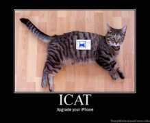 Icat