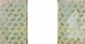 shabbyblogs.com Idalise