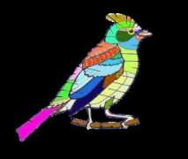 earthlife.net Identy