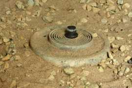 Ied