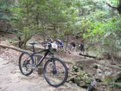 nabeshima.com Iiduka