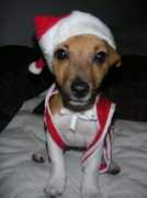 Iiro