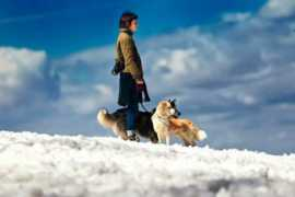 dna.com.hr Ilickovic