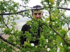 aktifhaber.com Iliman