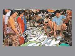 oneindia.com Ilish