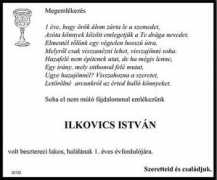 Ilkovics