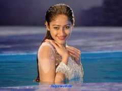 whitegadget.com Illeana