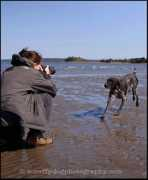 scruffydogphotography.com Illona