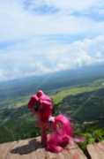 thairath.co.th Ilyo