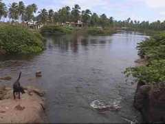 Imbassai