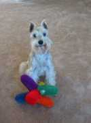 beachtimes.net Imcute