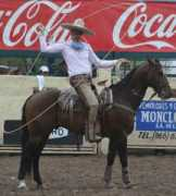 decharros.com Imiguel