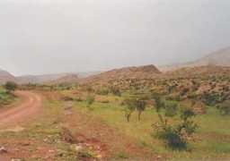 Imintanoute