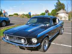 nzmustang.co.nz Inancsi