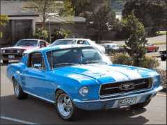 nzmustang.co.nz Inancsi