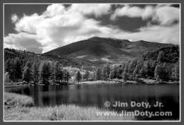 blog.jimdoty.com Infred