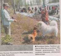 personal.inet.fi Ingalina