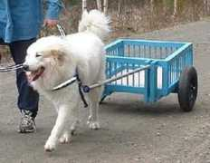 personal.inet.fi Ingalina