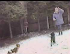 robert.willis.newbury.net Ingard