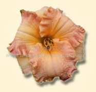 Inherited