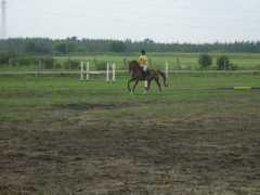 gallery.site.hu Innovar