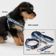 drsfostersmith.com Inotek