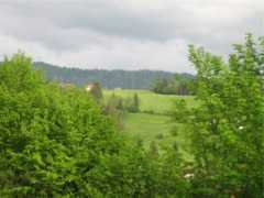 loesaus.de Insentive