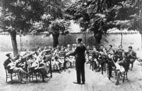 harpguitars.net Intelisano