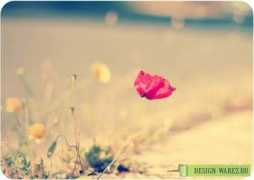 232323232323.beon.ru Irenel