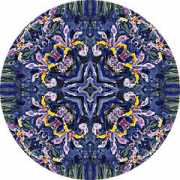 thedaintyarchstudio.com Iries
