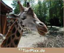 tierpixx.de Isst