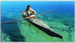 hub.witness.org Isuma