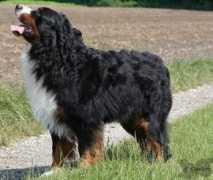 ev-an-or.websnadno.cz Isven