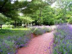 waynesvilleohio.com Itene