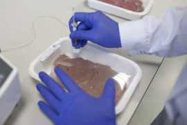 interempresas.net Itene