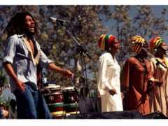 net-over-blog.com Ithrees