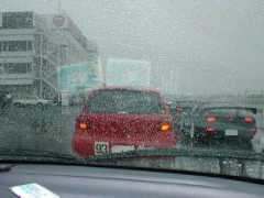 berlingo.fc2web.com Ivitz