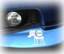 cos.ciao.jp Ivitz