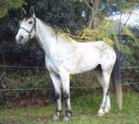 oocities.org Jackripper