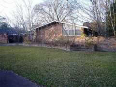 swamplot.com Jackwood