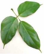 cybertruffle.org.uk Jairel