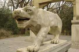 panoramio.com Jamchi