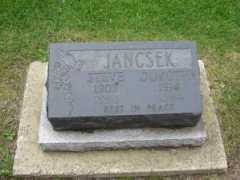 rootsweb.ancestry.com Jancsek
